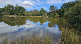6024 – ETANG AVEC CABANE BOIS – MONTSAUCHE LES SETTONS