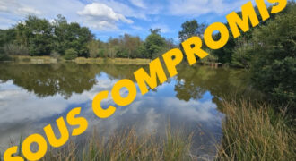 6024 – ETANG AVEC CABANE BOIS – MONTSAUCHE LES SETTONS
