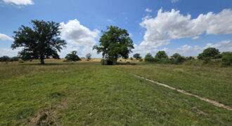 6069 – TERRAIN A BATIR – 3048 M2 – VIC DE CHASSENAY